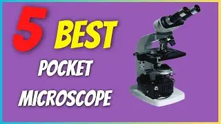 ✅ Top 5 Best Pocket Microscope In 2023 🏆