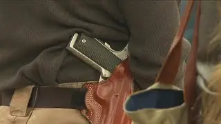 Court Puts Gun Law Ruling on Hold