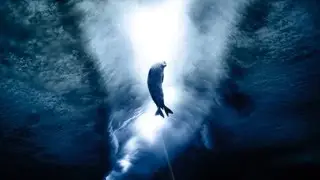 The Last Ocean - Film on Ross Sea
