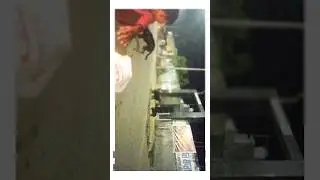 Do Gang Me Ladai 😂 #dog #fighting #gang #reels #youtubevideo #vlog