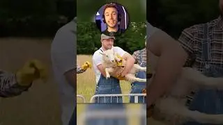 Harry loves his animals 🥹