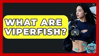 What Are Viperfish? - The Marine Life Explorer