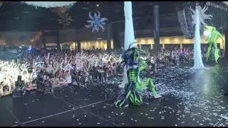 Life in Color Miami Unseen Footage