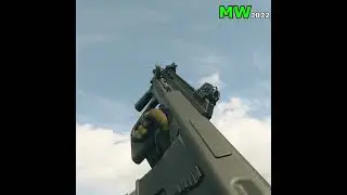 AUG - Cod: MW2019 vs Cod: MW2022