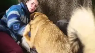 Hoe communiceer je met een doof en blind hondje