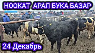 НООКАТ АРАЛ БУКА БАЗАР👍 24 ДЕКАБРЬ
