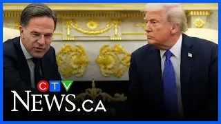 Can NATO survive Donald Trump?