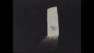 PBS PTV Surprise