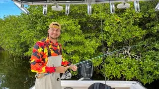 Fishing in the Florida Mangroves 🔴 LIVE NOW