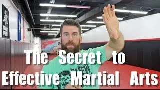 Brazilian Jiu-jitsu or Japanese Jujutsu ?