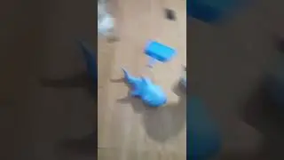 remote controlled shark