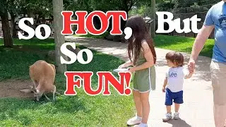 Visiting the Ark Encounter Zoo | Family Fun in the Heat + Animal Encounters 