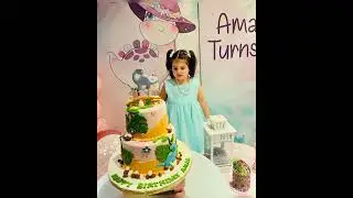 Aiman Muneeb and Muneeb Butt Daughter Amal Muneeb turns 3 birthday celebration in Cinderella theme