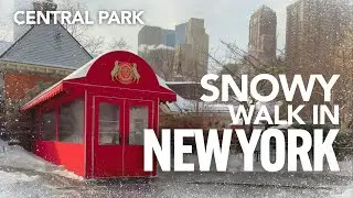 Snowy Walk in Central Park