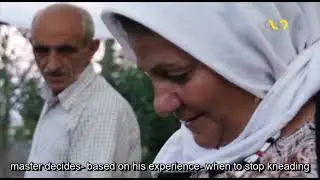 Arba-Tima (Dushab-making) Festival in Talysh and Gilan | Documentary with English subtitle