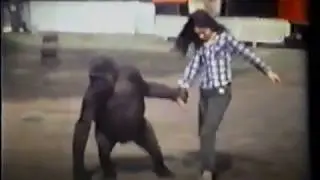 Bob Noell, Joe, Joey Deddo, Dorie Deddo   with Gorillas