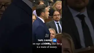 Safety Minister CAUGHT ON TAPE - secret convo #conservative #liberal #canadianpolitics #firearms