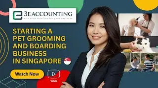 Starting a Pet Grooming and Boarding Business in Singapore