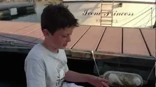 RC Boat -Jamara Speed Wave Demo