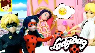 Lady Bug y Cat Noir 