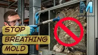 HVAC Mold Cleaning | How to Remove Mold  | Mold Buster #MoldBuster #MoldRemoval #HomeCleaning