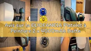 Avis sur la ELIOFANEIA Pistolet &agrave; Peinture 2 x 4000mAh Batteries Au Lithium et Chargeur 21V, Pulv&eacute;ri