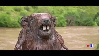 KWZ tv Loz&egrave;re: 48 secondes en Loz&egrave;re - Que d'oh! La Mal&egrave;ne (48)