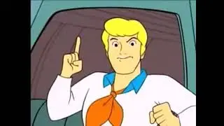 Fred, why the scarf?