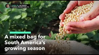 South America Grain Harvest Offers a Mixed Bag