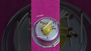 new kitty game#trending#viral#funny game#with lemon match sticks n bowl