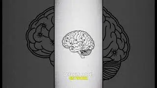 Why You Remember Conversations From 7 Years Ago at 3AM &mdash; It's Not Anxiety #psychology