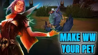 I Turned Warwick Into My Pet&hellip; (Irelia Top Lane)