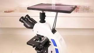 xRfiber automated PCM testing
