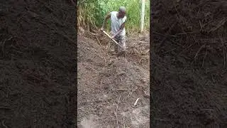 how to farm in wetlands|wetland ecology#viral #shorts