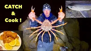 GIANT SPIDER CRAB - Dogfish Catch Clean Cook , Shore Fishing