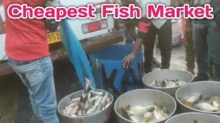 Nagaland Biggest wholesale Fish Market | Cheapest Fish Market In Dimapur Nagaland India