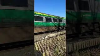 Irish rail class 201 passing Kildare #train #irishrail #railway #ireland