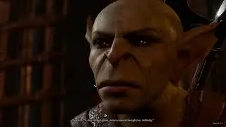 Baldur's Gate 3 Honour Mode Ranger part 5 Goblin massacre.
