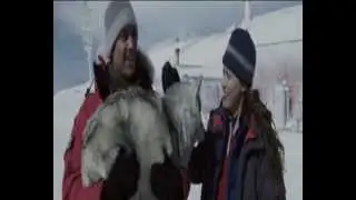 Eight Below - To The Stars