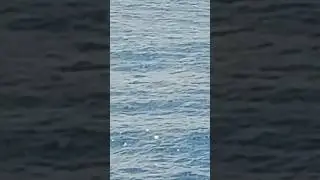 Seetagsdurchsage vom Captain Andreas Etzien auf AIDAperla