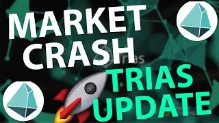 $TRIAS MARKET CRASH | #TRIAS PRICE PREDICTION | TRIAS TECHNICAL ANALYSIS | TRIAS UPDATE