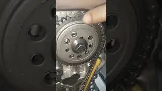 baleno car timing bandhana jane deakhea Kaise timing bandh Jata hai Maruti Suzuki India