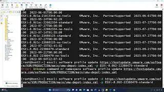 How to update a VMware ESXi host using the host's cli and an internet connection