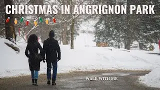 Walking Tour // Christmas Lofi Angrignon Park
