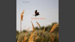 A Delicate Matter