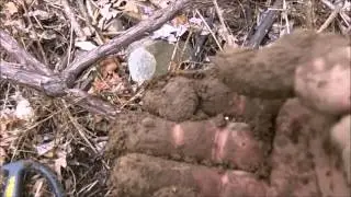 RELIC HUNTING A REVOLUTIONARY WAR CONTINENTAL ARMY ENCAMPMENT - episode 1
