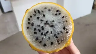 Fancy-Dancy New Fruit:  Yellow Dragon Fruit