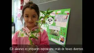Escola Joventut Projectes
