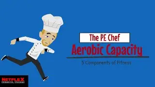 PE Chef: Аэробная способность (5 компонентов физической подготовки)