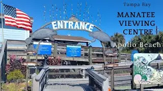 Manatee Viewing Center and Apollo Beach Tampa Bay January 2023